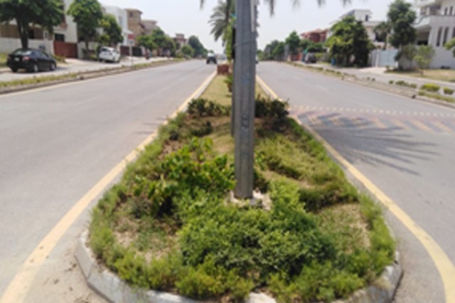 Landscaping Special Point DHA Phase-II
