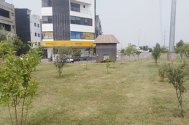 Landscaping Raw Spaces DHA Phase-II