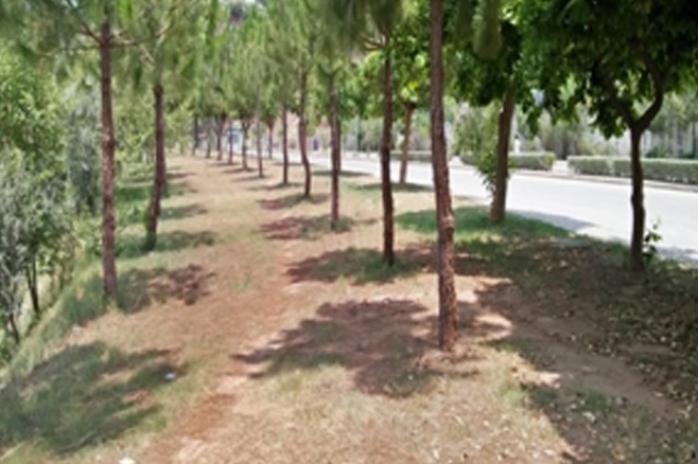 Landscaping Raw Spaces DHA Phase-I